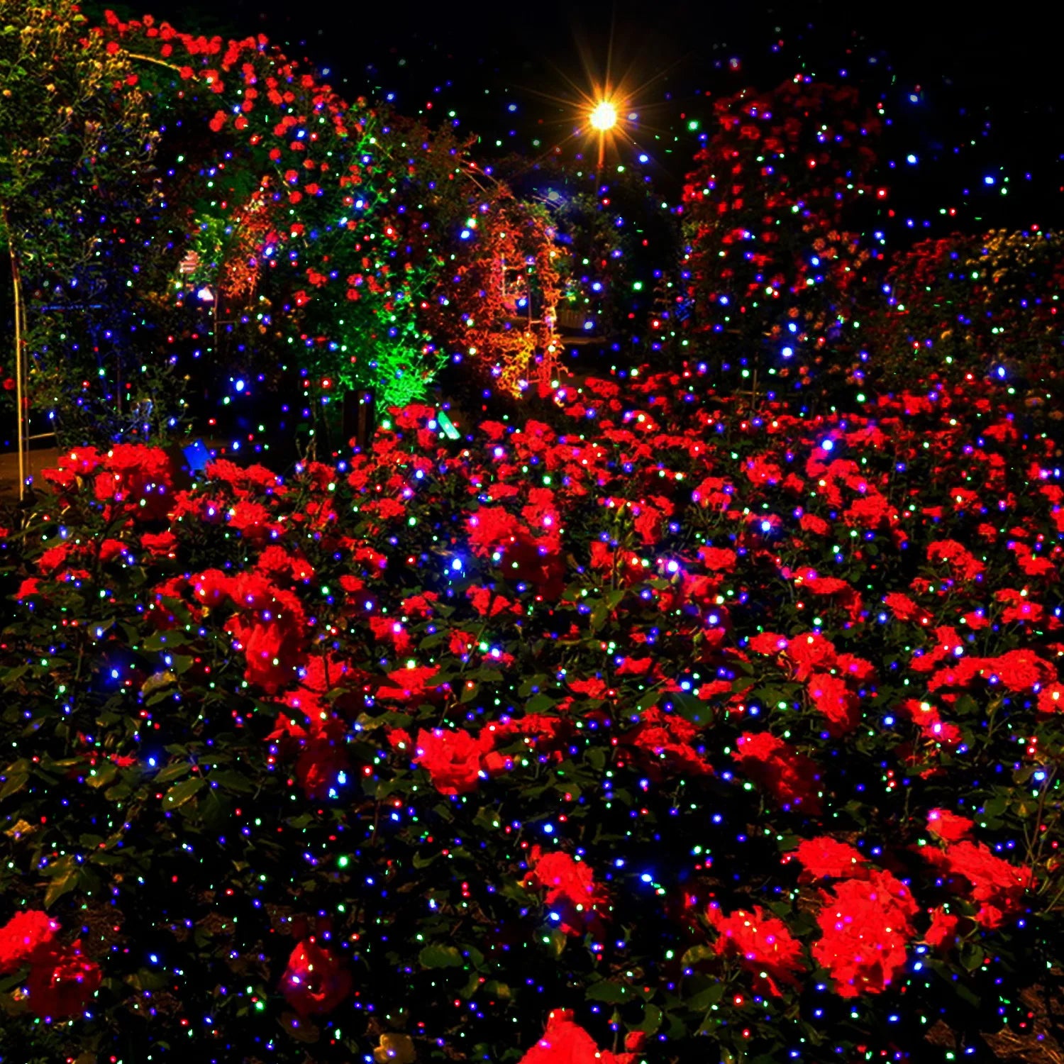 Laser Projector Light Outdoor Moving RGB Firefly Show